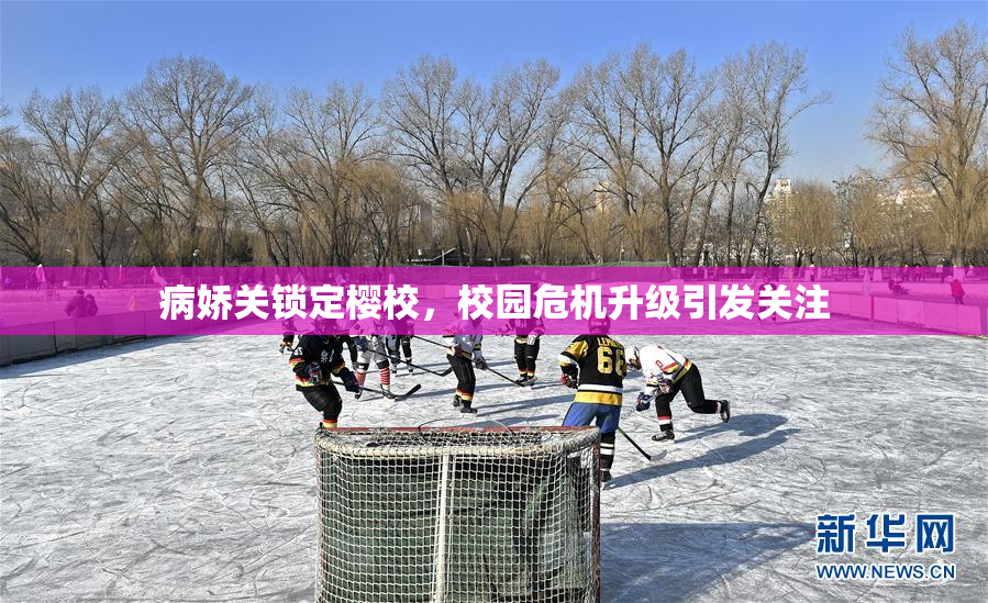 病娇关锁定樱校，校园危机升级引发关注