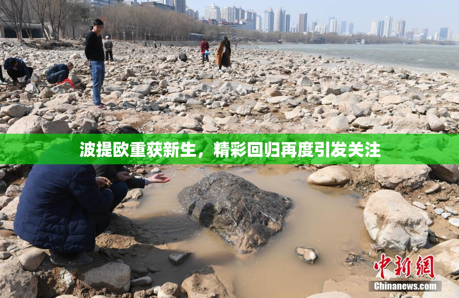波提欧重获新生，精彩回归再度引发关注