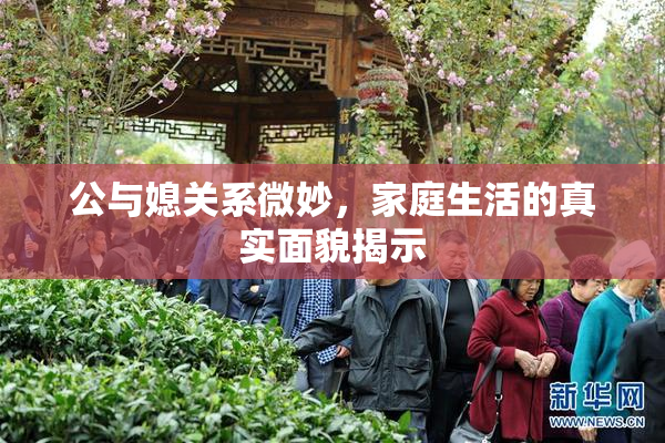 公与媳关系微妙，家庭生活的真实面貌揭示