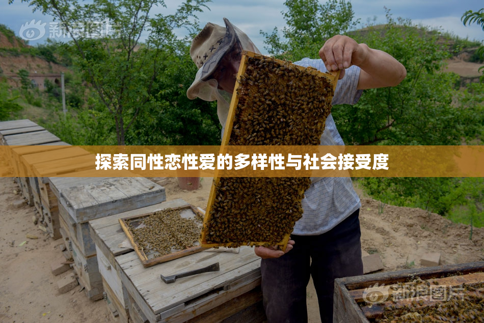 探索同性恋性爱的多样性与社会接受度