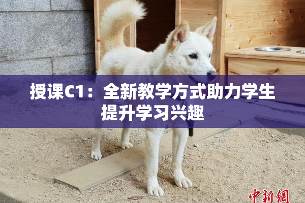 授课C1：全新教学方式助力学生提升学习兴趣