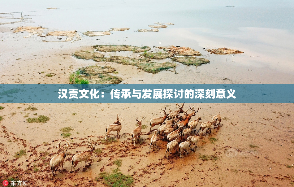 汉责文化：传承与发展探讨的深刻意义