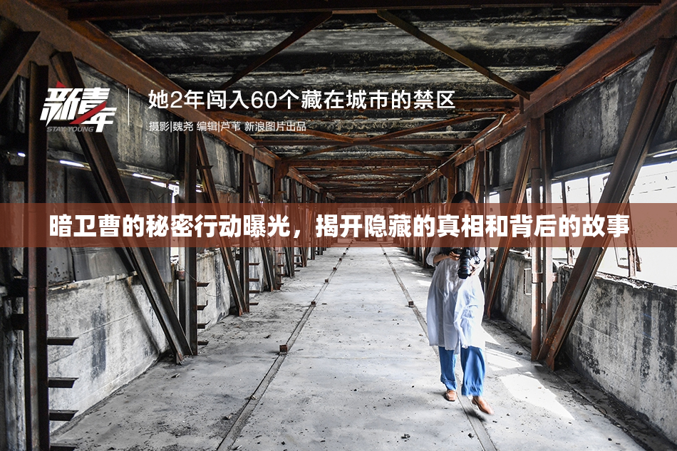 暗卫曹的秘密行动曝光，揭开隐藏的真相和背后的故事