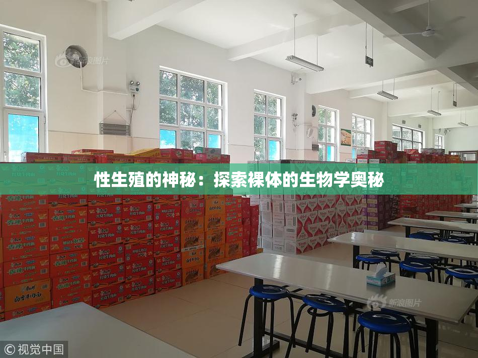 性生殖的神秘：探索裸体的生物学奥秘