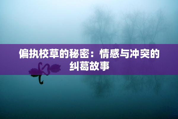 偏执校草的秘密：情感与冲突的纠葛故事