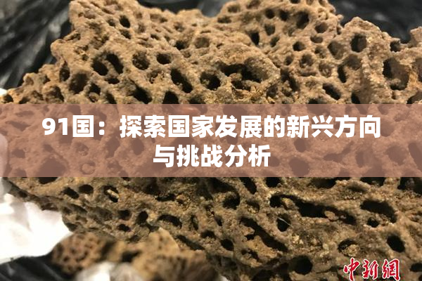 91国：探索国家发展的新兴方向与挑战分析