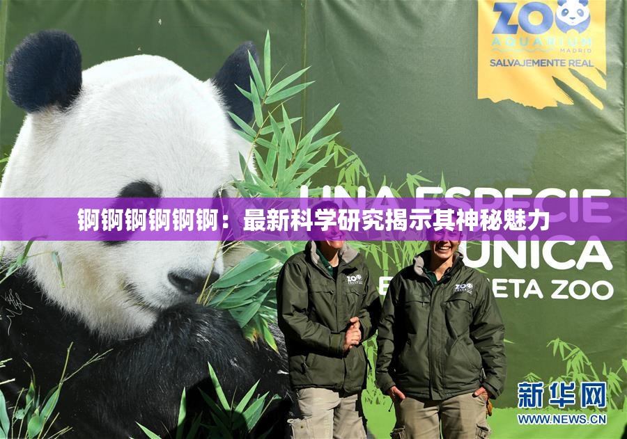 锕锕锕锕锕锕：最新科学研究揭示其神秘魅力