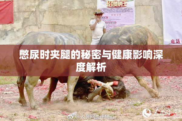 憋尿时夹腿的秘密与健康影响深度解析