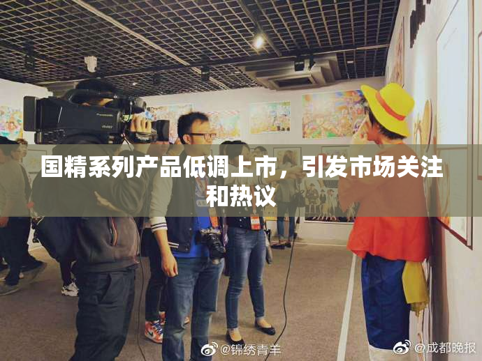 国精系列产品低调上市，引发市场关注和热议