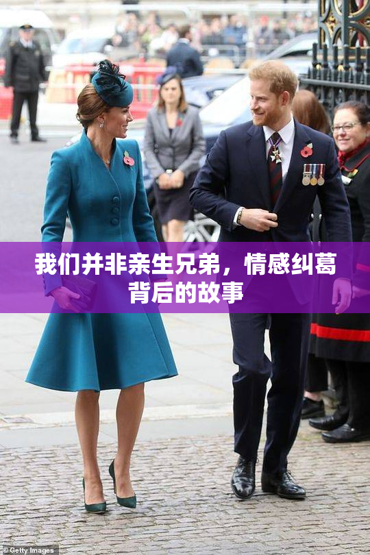 我们并非亲生兄弟，情感纠葛背后的故事