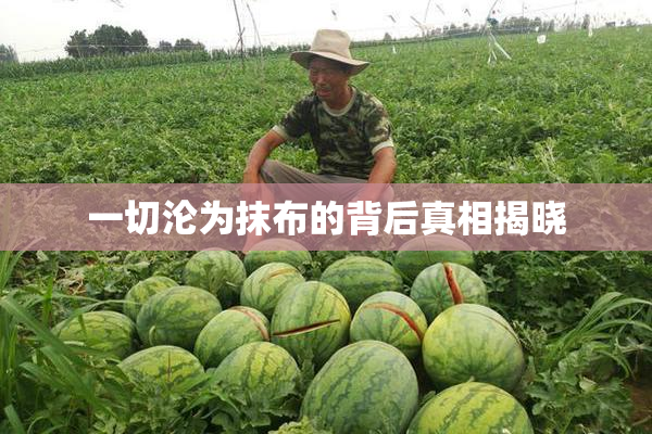 一切沦为抹布的背后真相揭晓