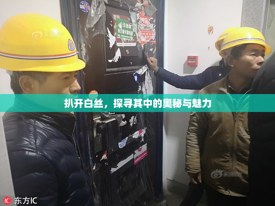 扒开白丝，探寻其中的奥秘与魅力