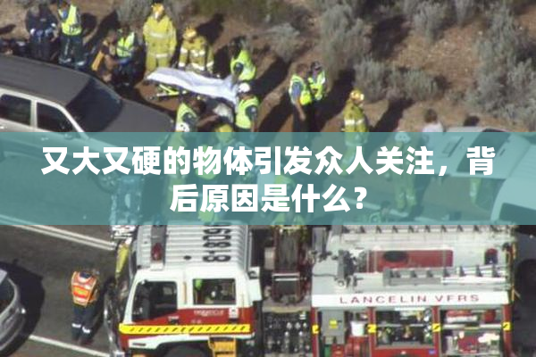 又大又硬的物体引发众人关注，背后原因是什么？