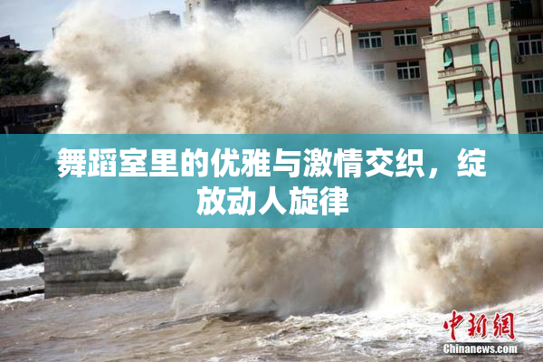 舞蹈室里的优雅与激情交织，绽放动人旋律