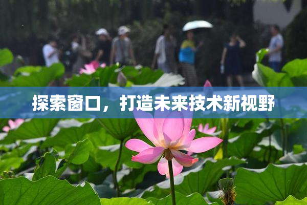 探索窗口，打造未来技术新视野