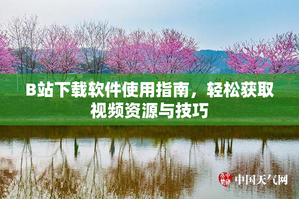 B站下载软件使用指南，轻松获取视频资源与技巧