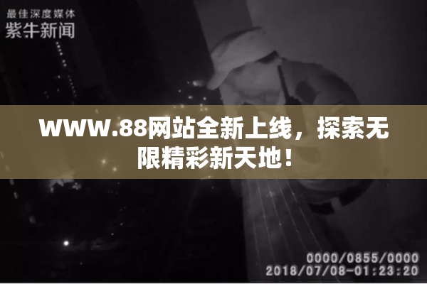 WWW.88网站全新上线，探索无限精彩新天地！