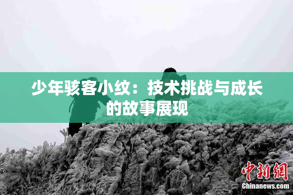 少年骇客小纹：技术挑战与成长的故事展现