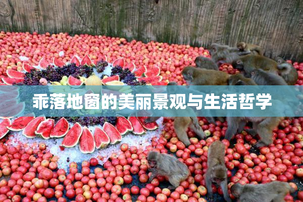 乖落地窗的美丽景观与生活哲学