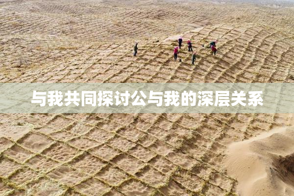 与我共同探讨公与我的深层关系