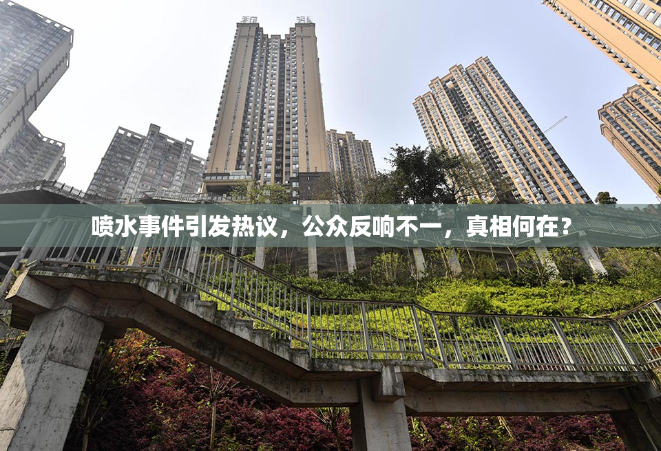 喷水事件引发热议，公众反响不一，真相何在？