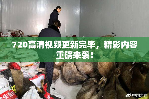 720高清视频更新完毕，精彩内容重磅来袭！