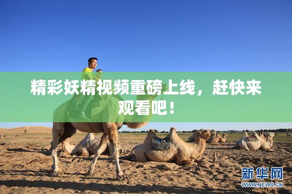 精彩妖精视频重磅上线，赶快来观看吧！