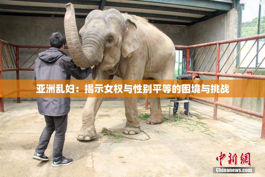 亚洲乱妇：揭示女权与性别平等的困境与挑战