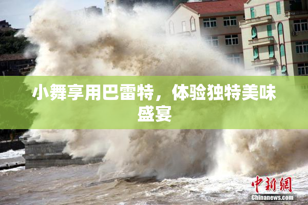 小舞享用巴雷特，体验独特美味盛宴