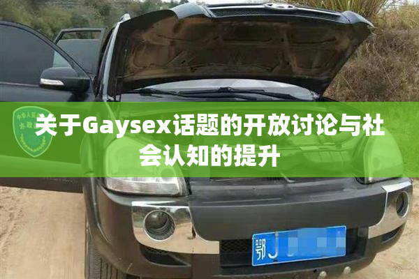 关于Gaysex话题的开放讨论与社会认知的提升