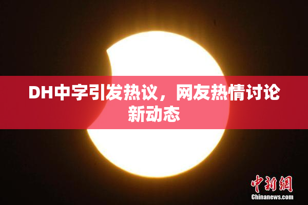 DH中字引发热议，网友热情讨论新动态