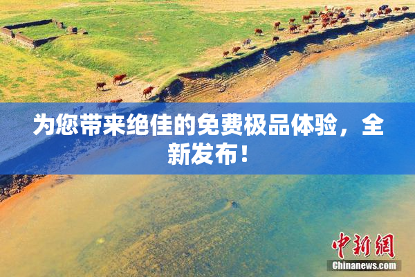 为您带来绝佳的免费极品体验，全新发布！
