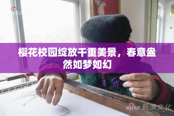 樱花校园绽放千重美景，春意盎然如梦如幻