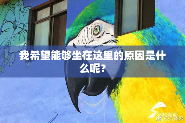 我希望能够坐在这里的原因是什么呢？