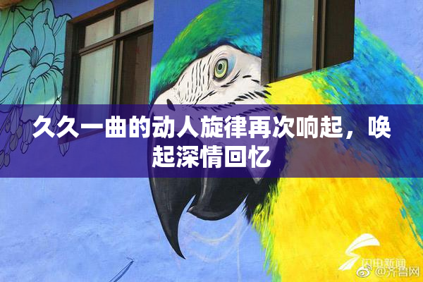 久久一曲的动人旋律再次响起，唤起深情回忆