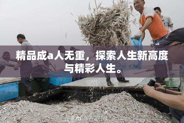精品成a人无重，探索人生新高度与精彩人生。