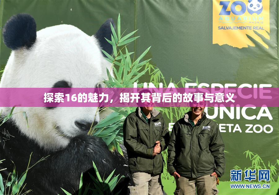 探索16的魅力，揭开其背后的故事与意义