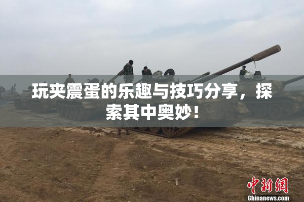 玩夹震蛋的乐趣与技巧分享，探索其中奥妙！