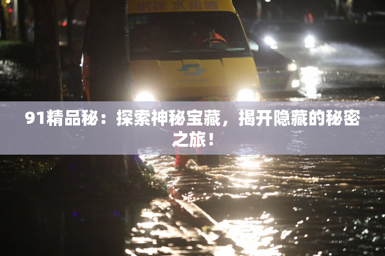 91精品秘：探索神秘宝藏，揭开隐藏的秘密之旅！