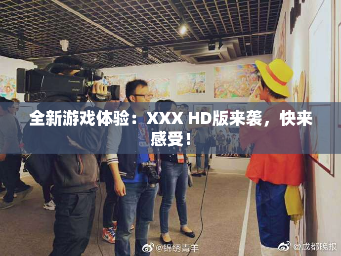 全新游戏体验：XXX HD版来袭，快来感受！