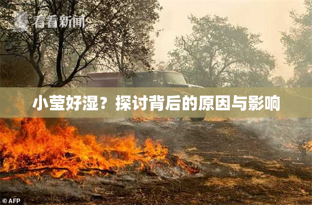 小莹好湿？探讨背后的原因与影响