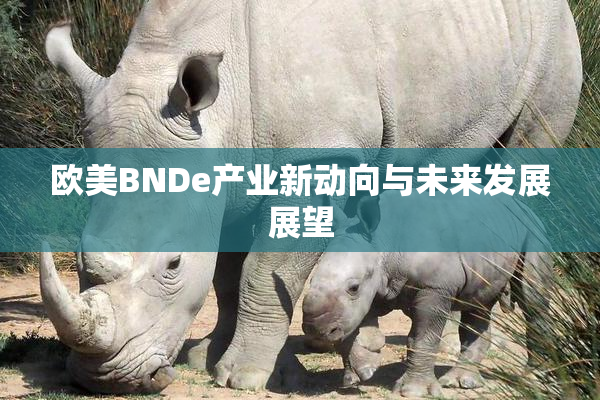 欧美BNDe产业新动向与未来发展展望