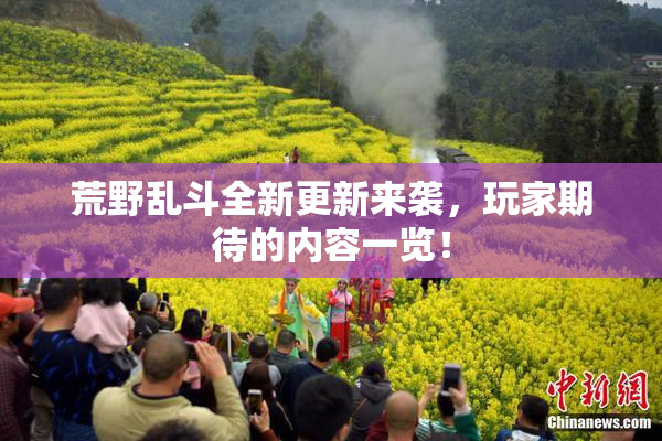 荒野乱斗全新更新来袭，玩家期待的内容一览！