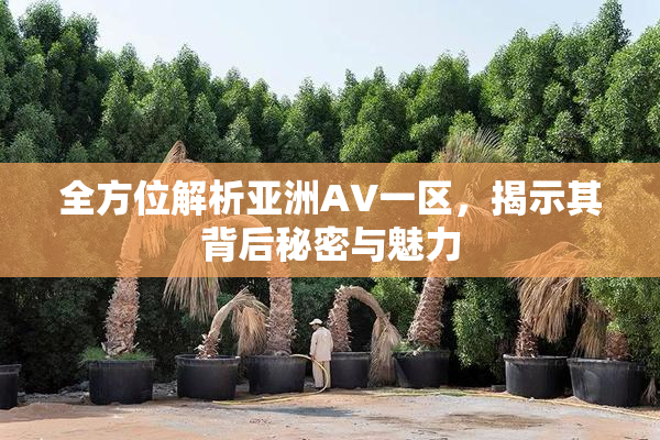 全方位解析亚洲AV一区，揭示其背后秘密与魅力