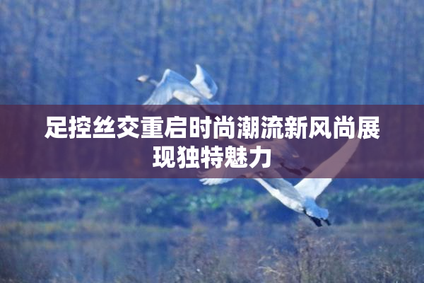 足控丝交重启时尚潮流新风尚展现独特魅力