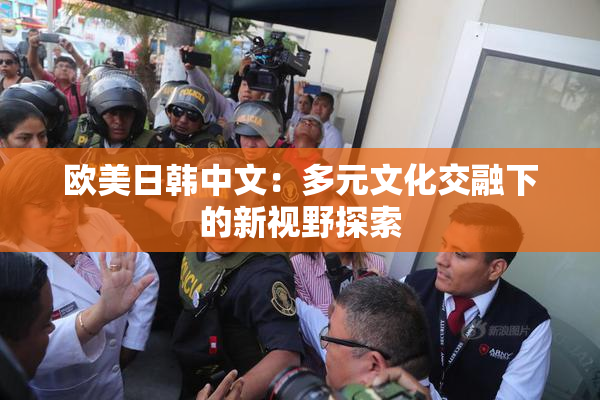 欧美日韩中文：多元文化交融下的新视野探索