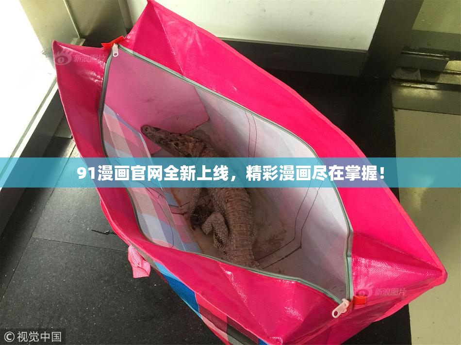 91漫画官网全新上线，精彩漫画尽在掌握！