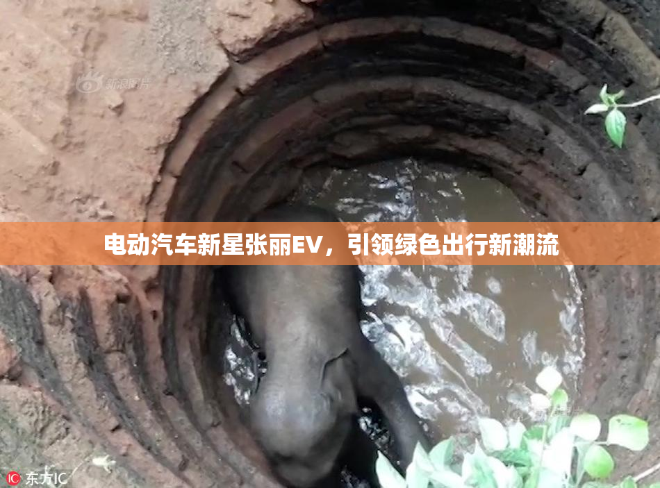 电动汽车新星张丽EV，引领绿色出行新潮流