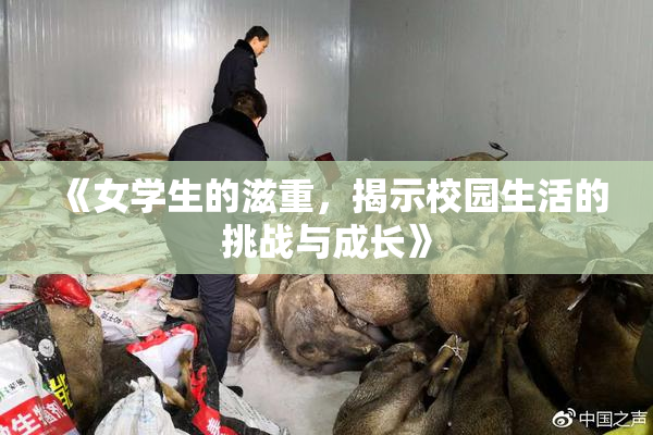 《女学生的滋重，揭示校园生活的挑战与成长》