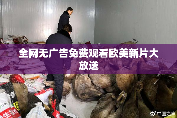 全网无广告免费观看欧美新片大放送